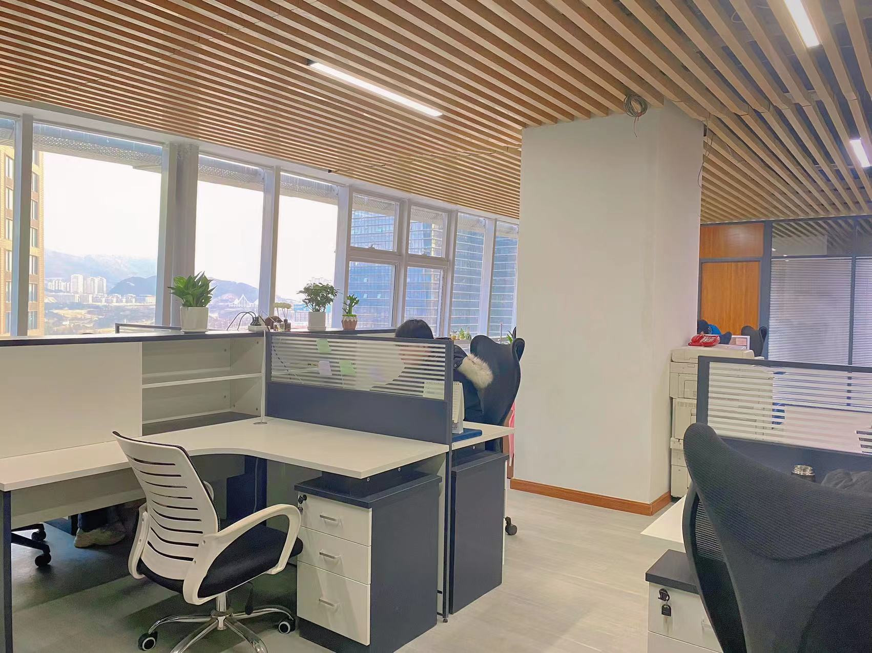 办公室实拍_黄瓜视频黄色